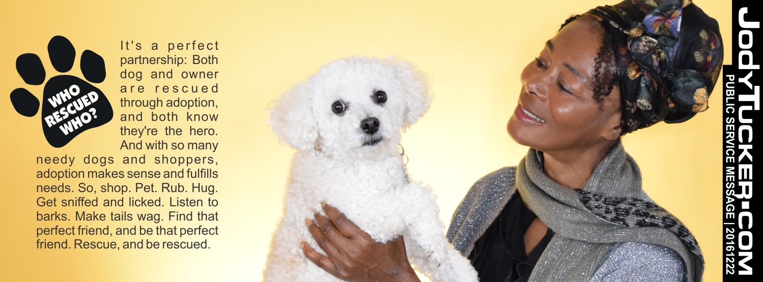 PetRescue